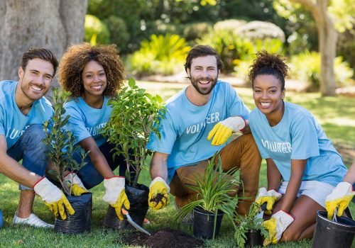Afforestation program held by foundation
